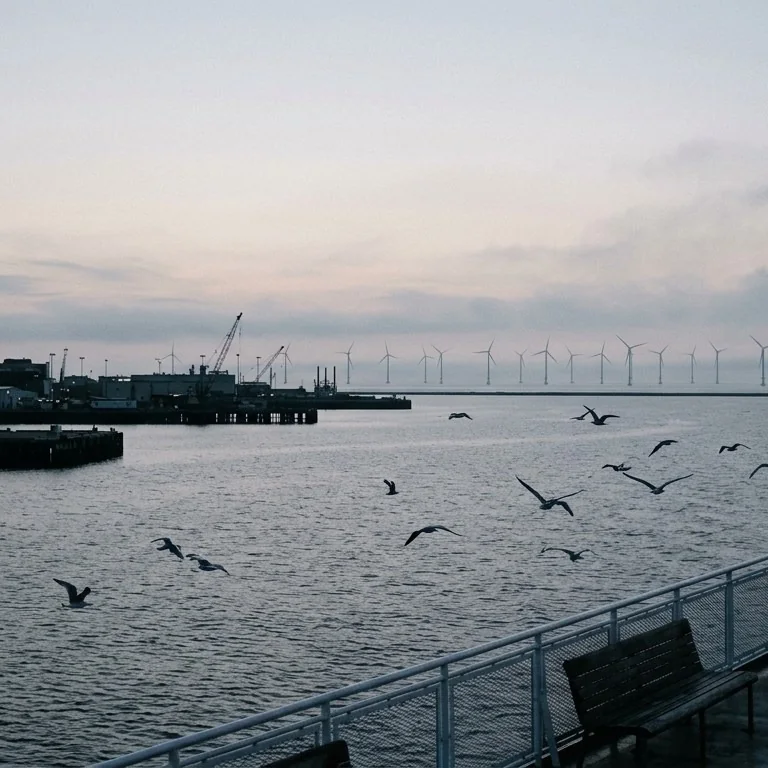 Offshore wind turbines on the horizon beyond Boston Harbor at dawn, seen from a ferry